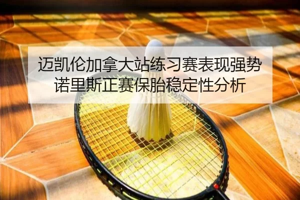 mai-kai-lun-jia-na-da-zhan-lian-xi-sai-biao-xian-qiang-shi-nuo-li-si-zheng-sai-bao-tai-wen-ding-xing-fen-xi-2-861.jpg